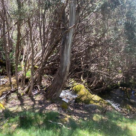 Ramshead Creek 3 - Thredbo Leilighet Eksteriør bilde