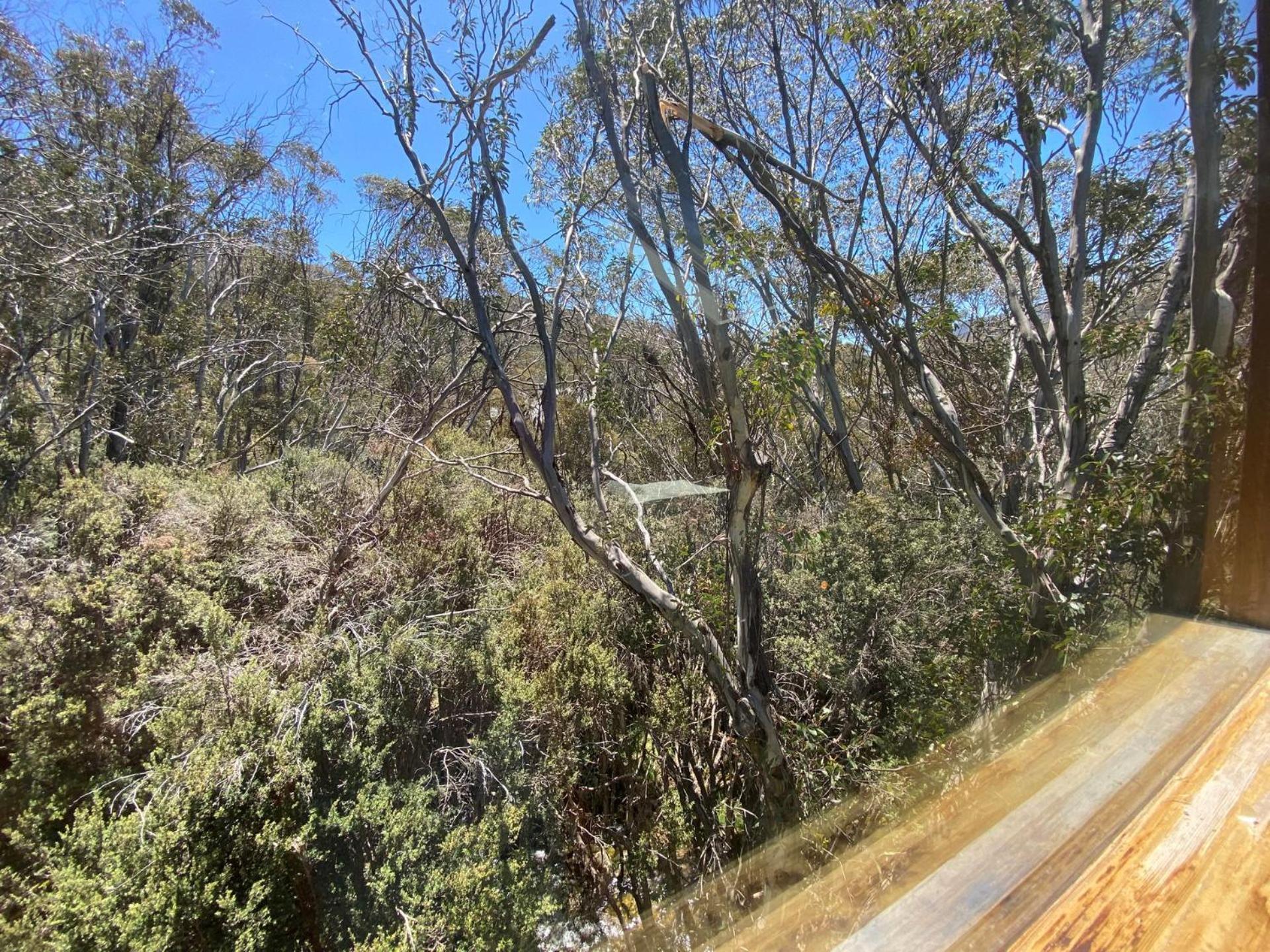 Ramshead Creek 3 - Thredbo Leilighet Eksteriør bilde
